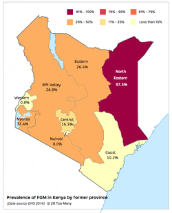 Prevalence Map: FGM in Kenya (2014, English)